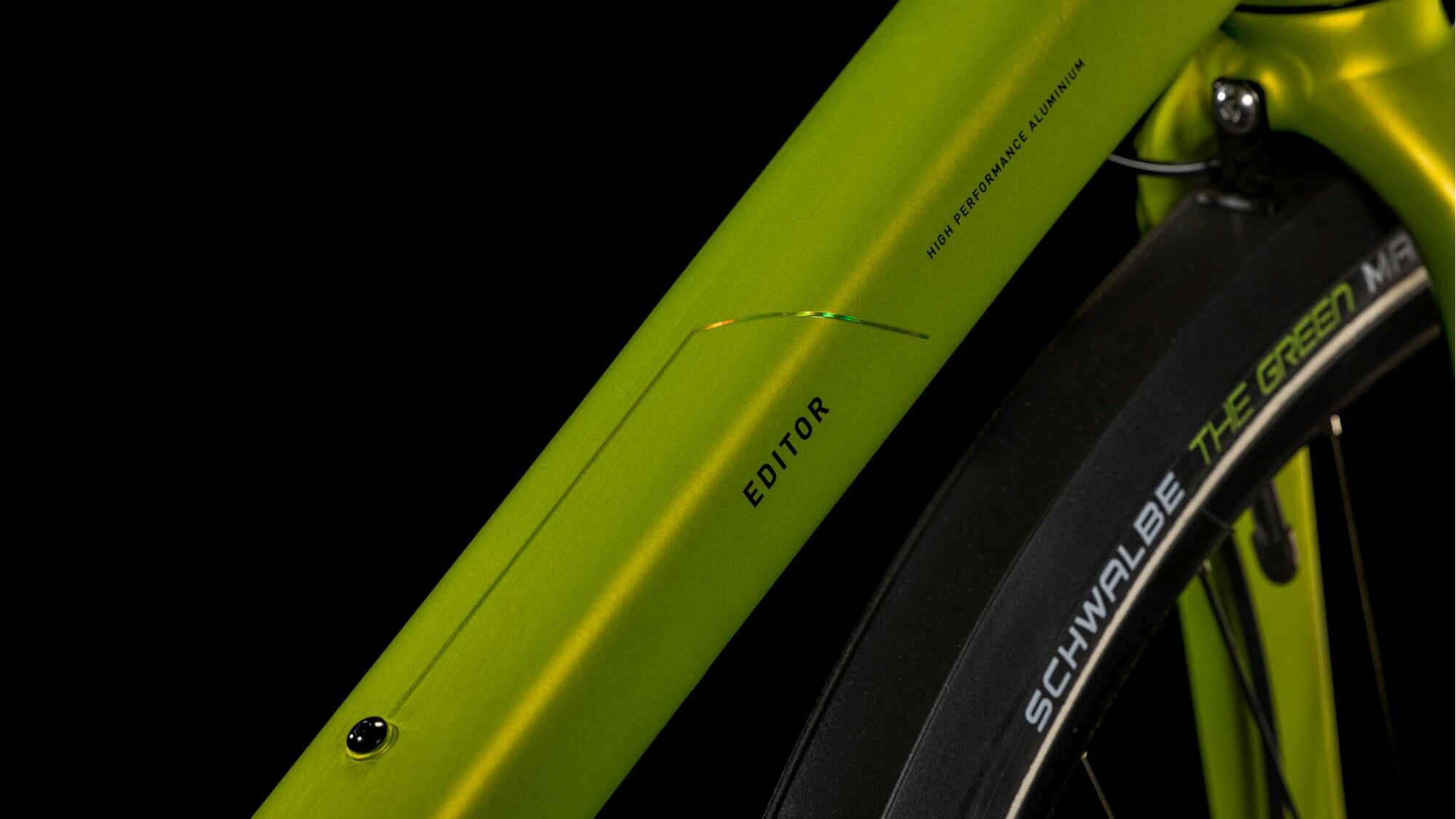 EDITOR RACE FE - Image 3