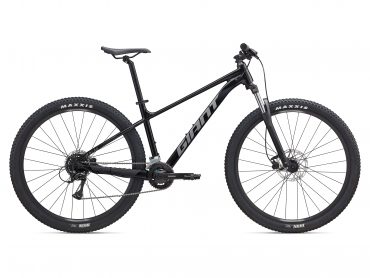 Talon 3 (2025) |  XC bike